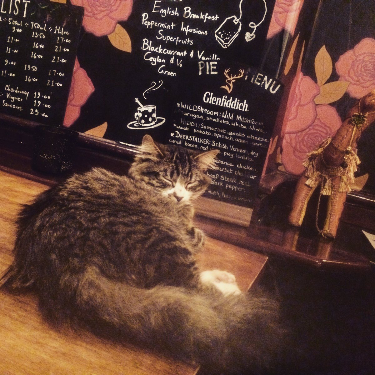 The_camelpub's tweet photo. It's pie week and we're getting our naps in now before the omnomnom begins. @pieminister #pieweek #bethnalgreen https://t.co/GUCClOMyMC
