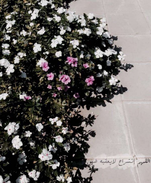 إيـڤَاند؛الجهني (@axx064) on Twitter photo 