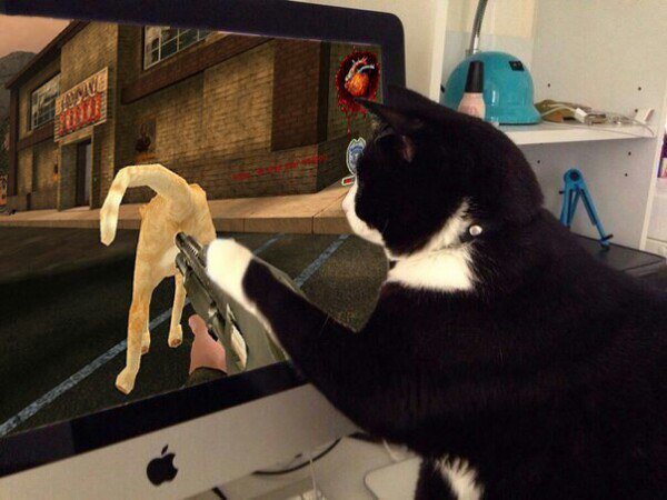 C6LxWocWcAAyBQg.jpg:large