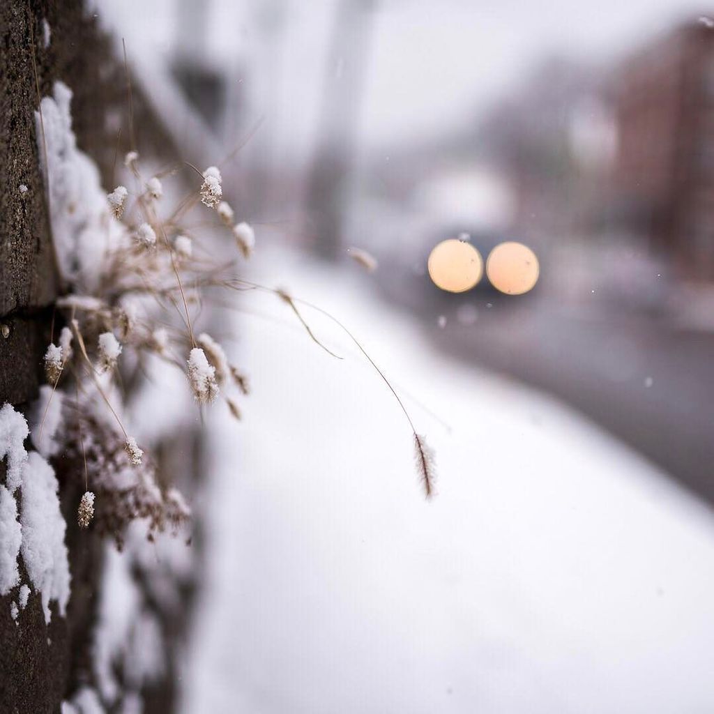 DANCOPEPHOTO's tweet photo. Cars are always good for a Bokeh ball or two.⠀
.⠀
.⠀
.⠀
#dcfrozenseries #nikon  #photography #prophoto  #optoutside… https://t.co/GlCicjPz18