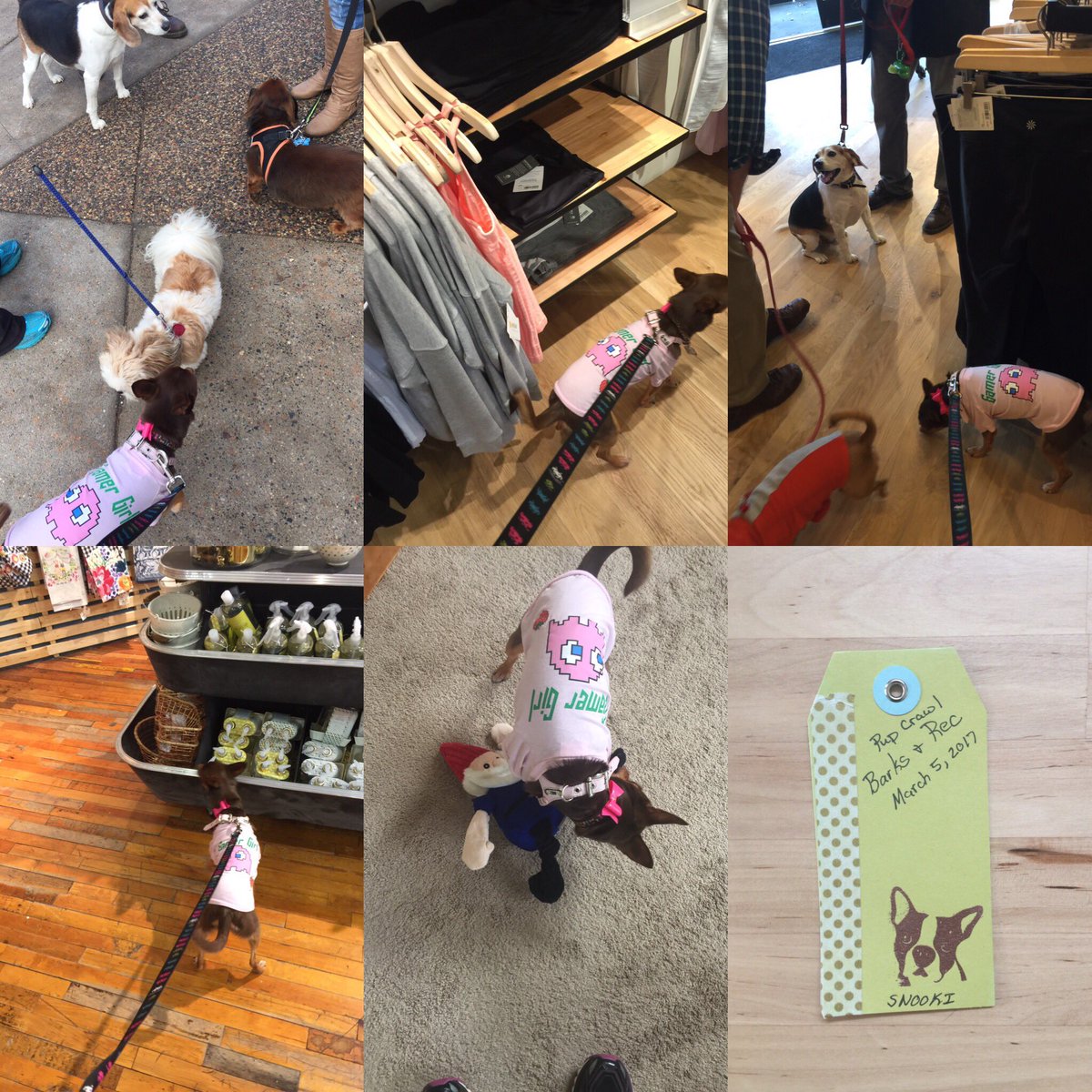 Great time at the Barks &amp; Rec's Pup Crawl where we visited many dog friendly stores on France Avenue in Mpls. <a href="/boneadventure/">Bone Adventure</a> #boneadventure