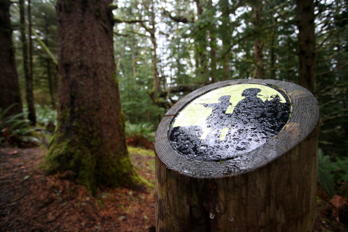 VisitSeasideOR's tweet photo. Aromatic smells of local flora and fauna make the Tillamook Head Trail a hiker’s delight. https://t.co/kbmxSPK2Df https://t.co/VClZcK0XOh