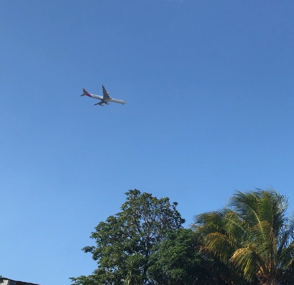 PTaracido's tweet photo. Hoy he cazado al #ib6313 en final de la 07 del aeropuerto internacional Juan Santamaria de Costa Rica https://t.co/Nt0421YO6H