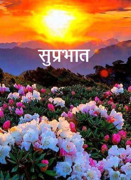 Rahulpatelbjpba's tweet photo. Good morning Mitra https://t.co/kLoJUVInwe