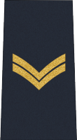 MG_Jansen1's tweet photo. Congrats to A/Cpl. Dave and A/Cpl. Ronko within SATC. I look forward to seeing your continued growth and development! @MountiesGaming https://t.co/2rIQNX2cno