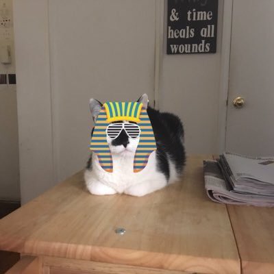 Sir James tweet media