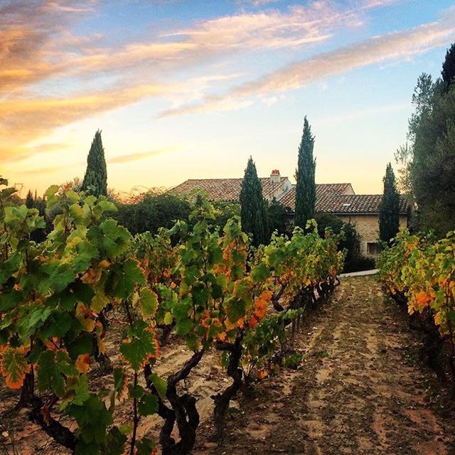 Visiting Provence tweet media