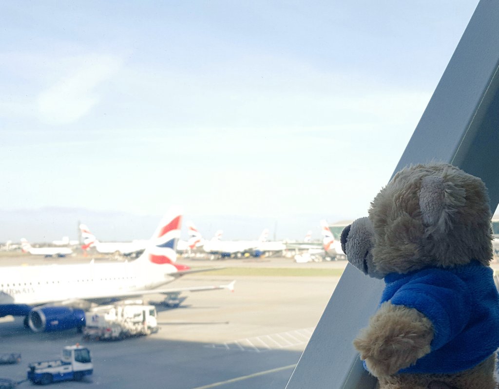 samina_ansari_'s tweet photo. Wee Ted @ the airport, starting his journey to be united with a #refugee wee 1 in #Lebanon spreading some #BearLoveFromScotland  #Hope https://t.co/TZpVV2hd7G