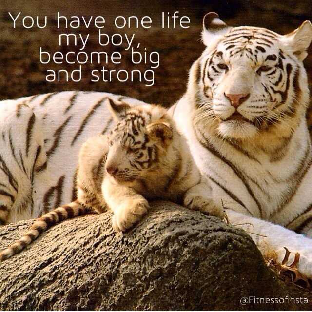 BodybuildingHC's tweet photo. https://t.co/ioe2Z3a0up