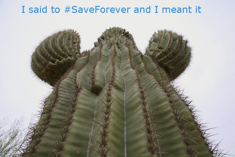 Ken_the_Trog's tweet photo. Listen to the cactus!
#MakeForeverS2 @netflix @STARZ @AmazonStudios #ShopTheFrontDoor @warnerbrostv @WarnerBrosEnt https://t.co/bq5rQuafnL