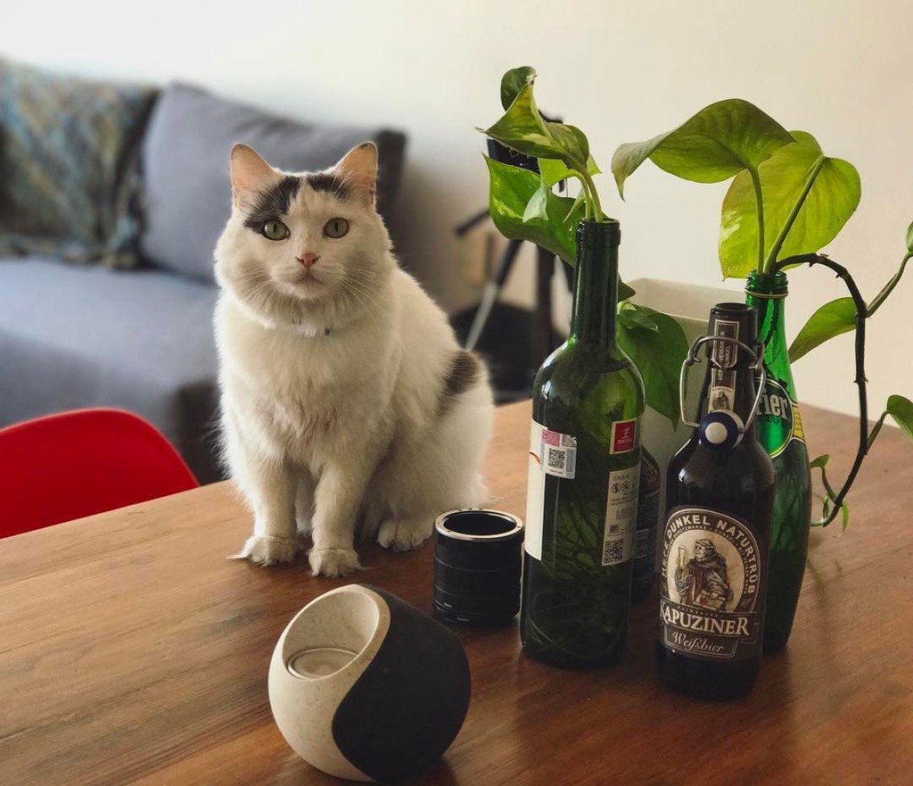 CharminRoss's tweet photo. #TablePose https://t.co/TwZoL00333 https://t.co/M0gAWtZzrf