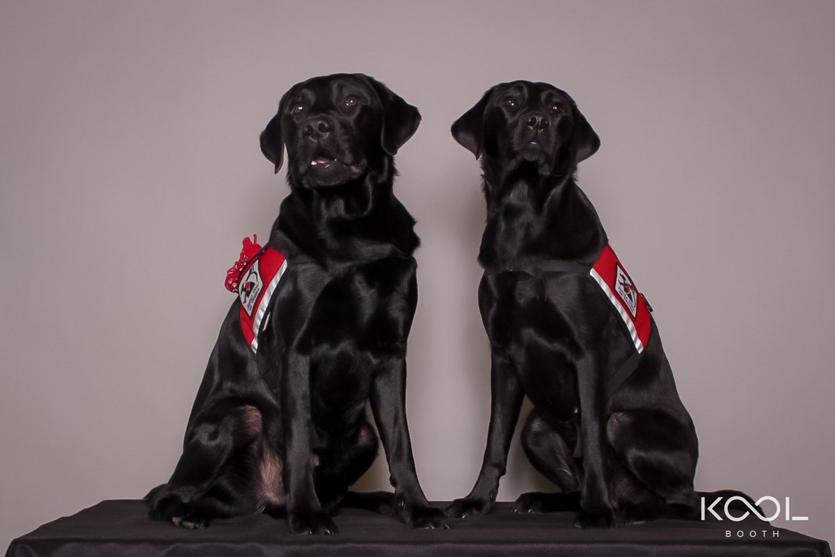 KoolBooth's tweet image. @KoolBooth 's March Wagness pet portrait fundraiser for @servicedogsva landed on the @Newsplex TV news tonight!  newsplex.com/content/news/A…