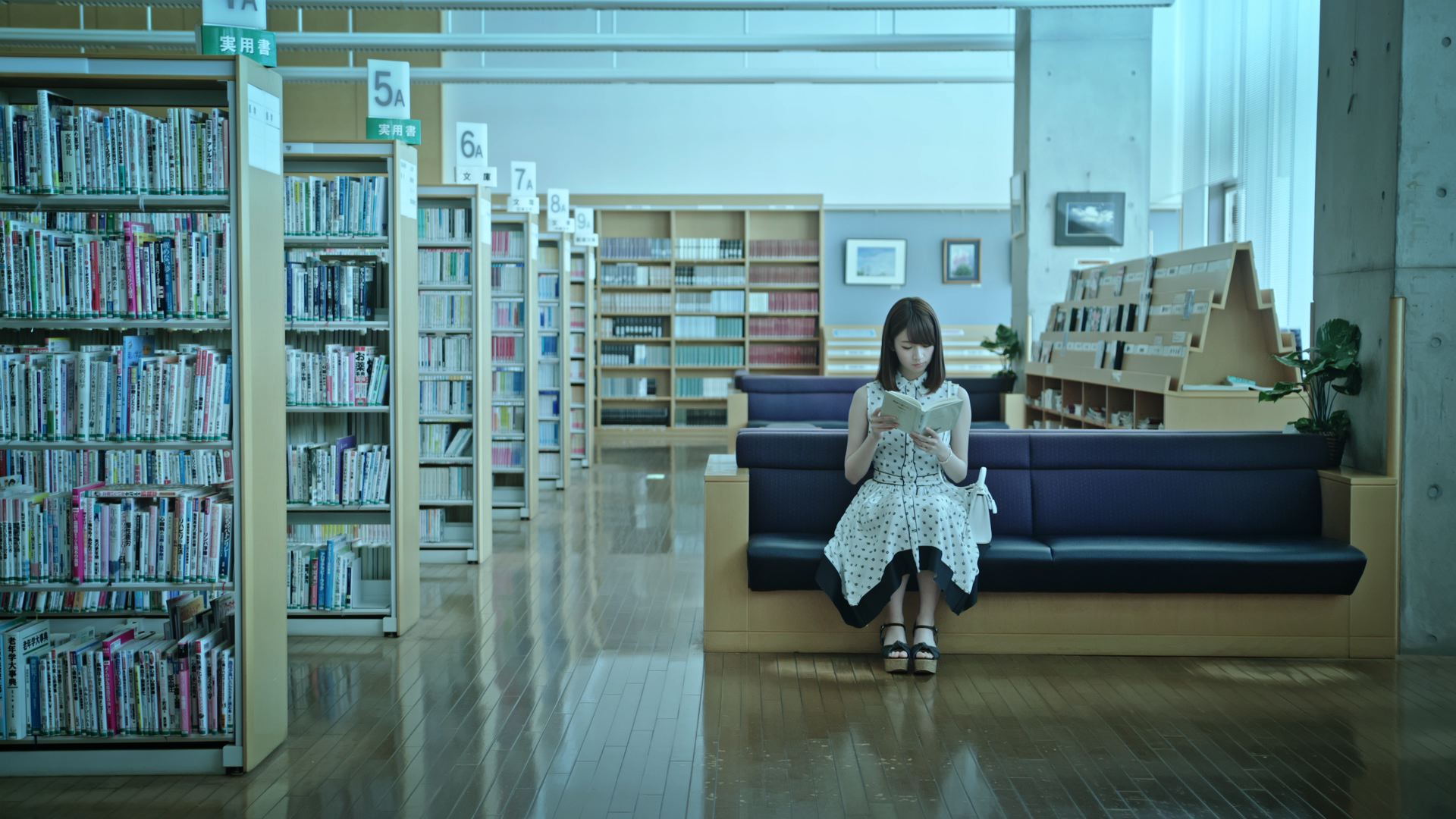 乃木坂46 橋本奈々未の恋する文学 セット Amazon.co.jp: 【Amazon.co.jp限定】乃木坂46 橋本奈々未の