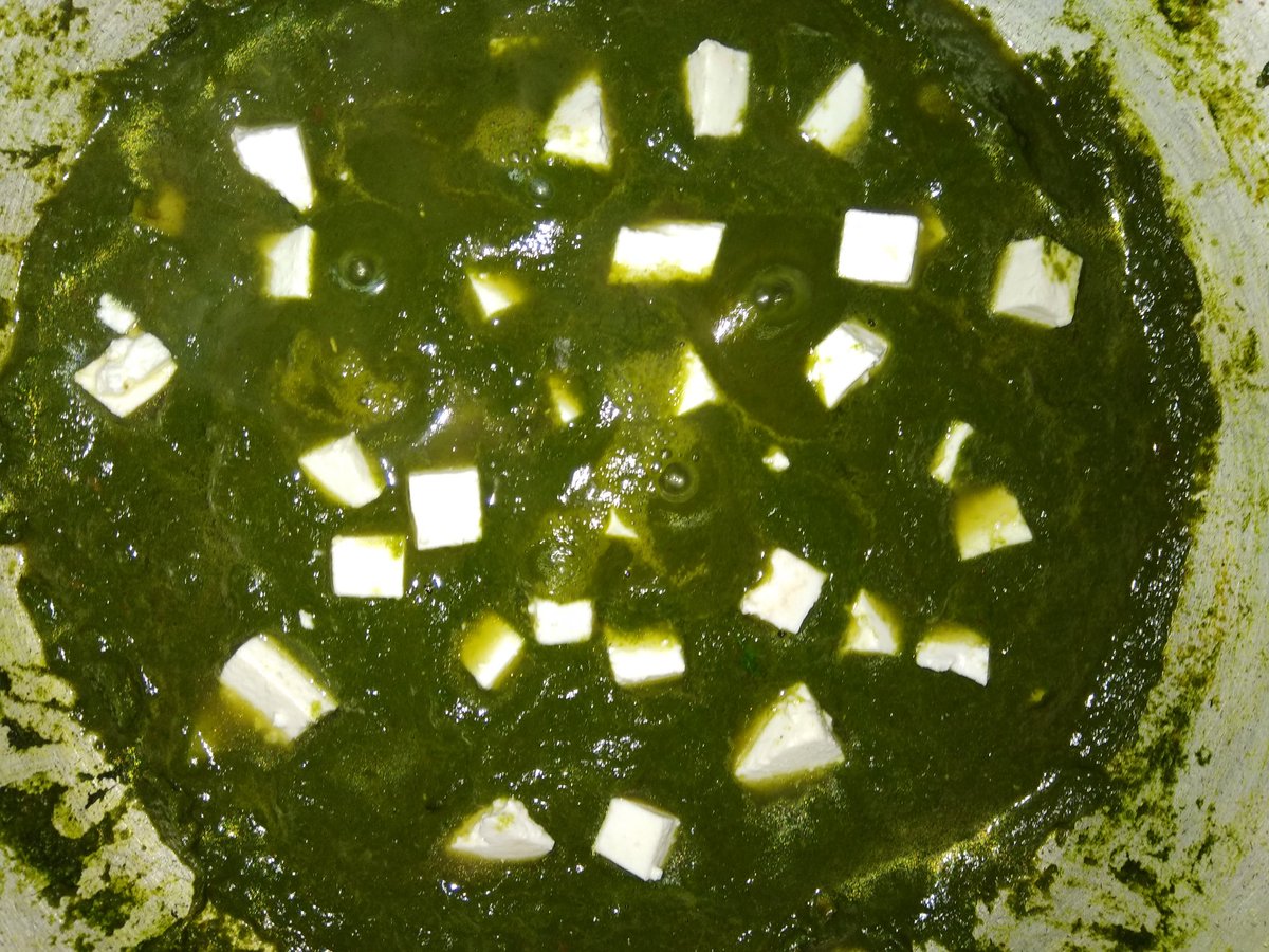 shadababe04's tweet image. From #CCoding to #Cooking.@YouTubeIndia become new university.First time #Palak_paneer cooking