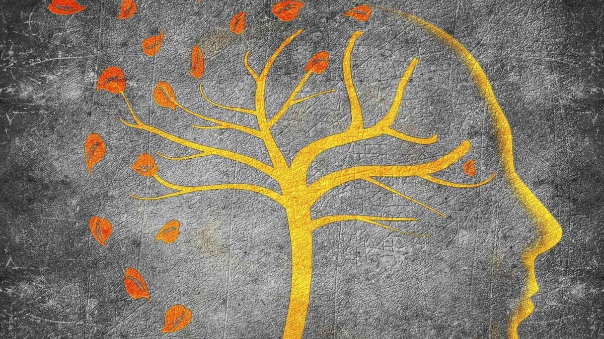 Niemand is ooit uitgeleerd buff.ly/2lGkZdC