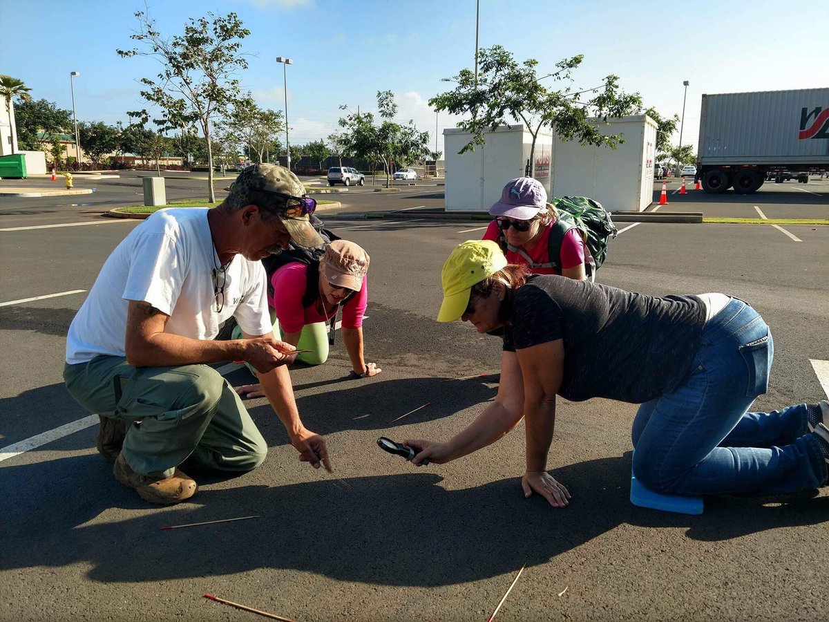 Fernando_TTS's tweet photo. Urban tracking class @coldlakesar @MauiSAR @RedRockSAR @RedDeerSAR @SpokaneESAR @SAR_01 @cck9team @York_SAR @CentralRescueUK https://t.co/XpTEAbfntQ