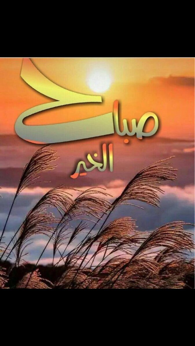 matabdot tweet picture