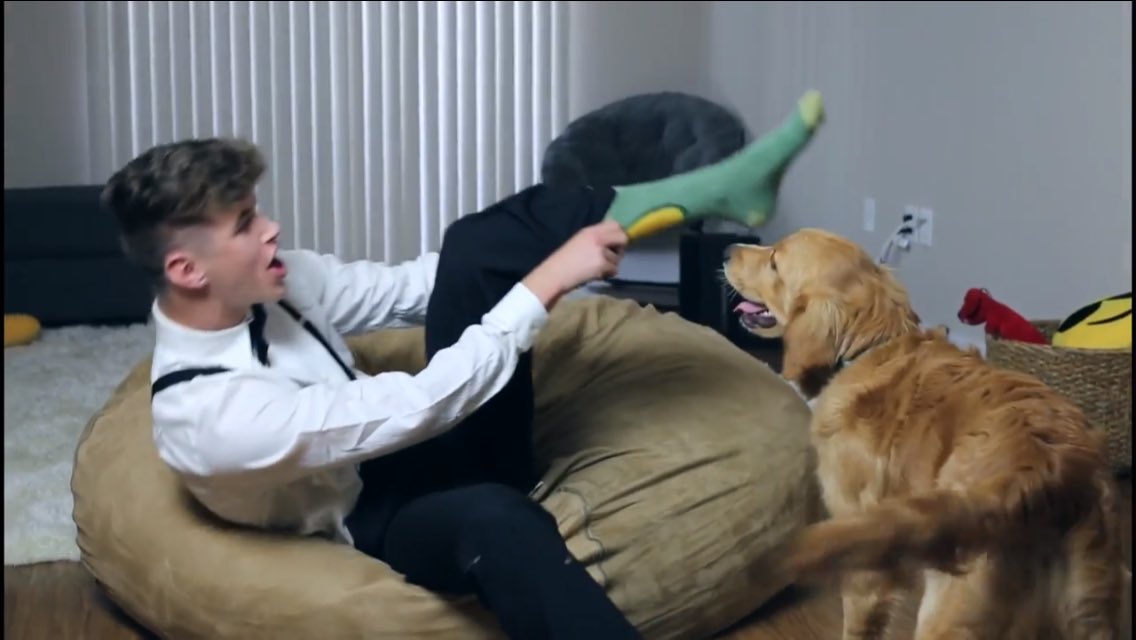 sbsrosie's tweet image. GUYS PLEASE RT

@JonahClaunch WILL GIVE ME @natekgarner 'S AVOCADO SOCKS

🥑PLEASE RT AND SHARE IT WOULD MEAN THE WORLD🥑

I NEED 2K RT🙏🏼ilysm