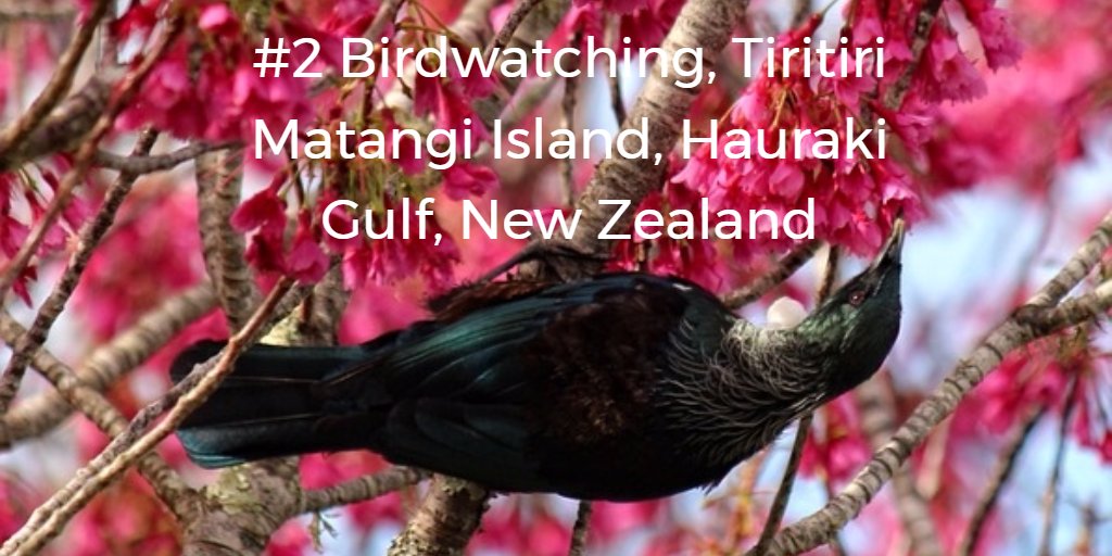 LanguagesInt's tweet photo. 3 out of 6 adventures on world must-do list are in New Zealand. #2 and #3 are in #Auckland 🙌
https://t.co/IIU1ihSpfA https://t.co/N3nFIzOqfC