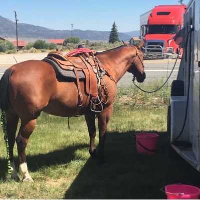 alanpmitchell's tweet image. #NewProfilePic