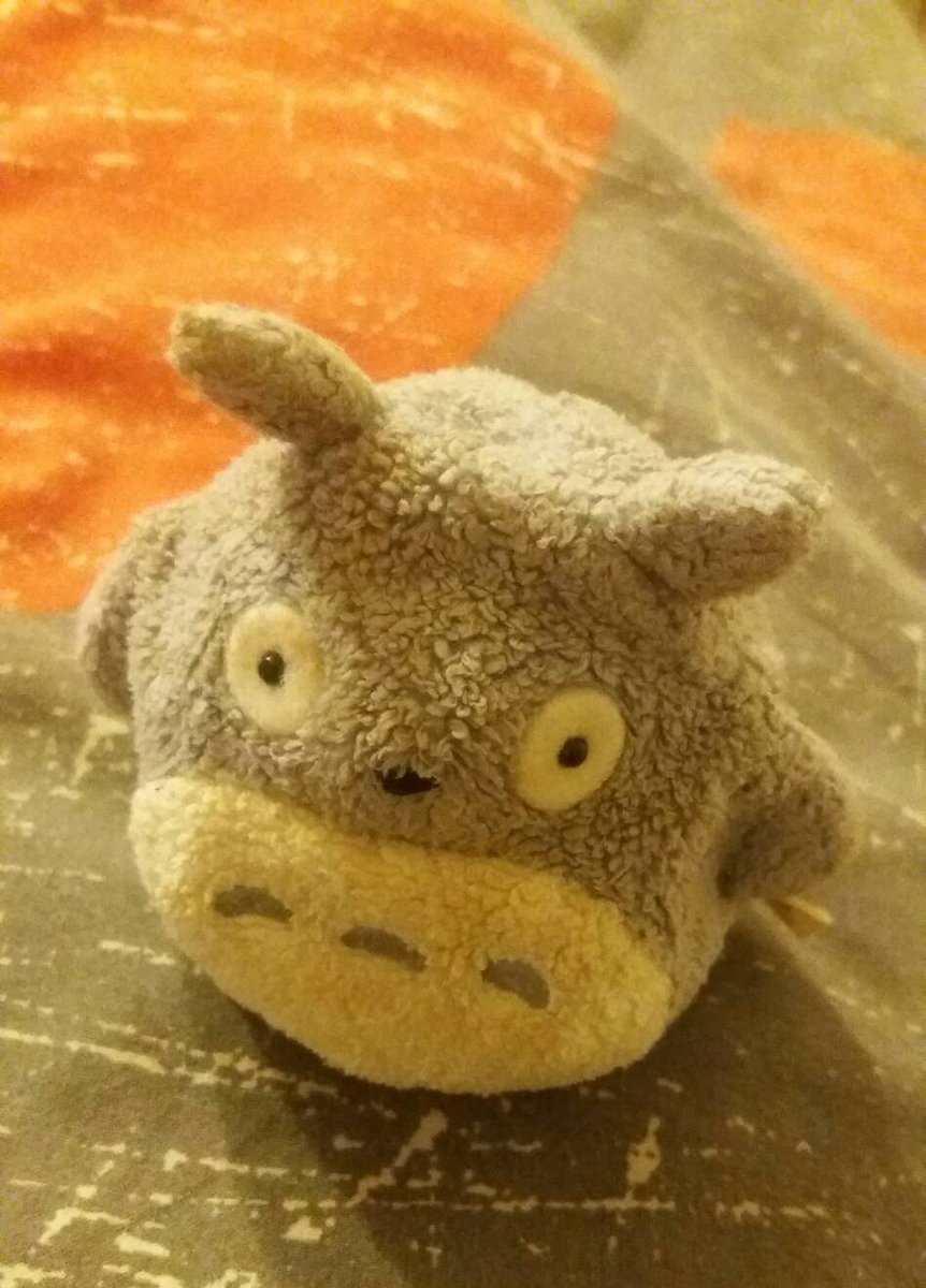 SuperWoman_SWDD's tweet photo. Reencuentro con un amiguete querido que hace tiempo que no veía. #64de365 #SWenmarcha #limpieza #vidasana #Japan #Totoro #locosdelclic https://t.co/W9WdD6FVxu