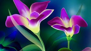 KevinThomas134's tweet photo. Flowers for pretty girls.. https://t.co/qpPWAYAqtJ