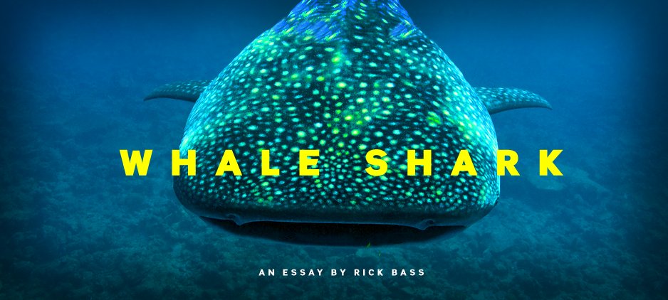 Happy birthday Celebrate with one of our favorites from the Archive:  