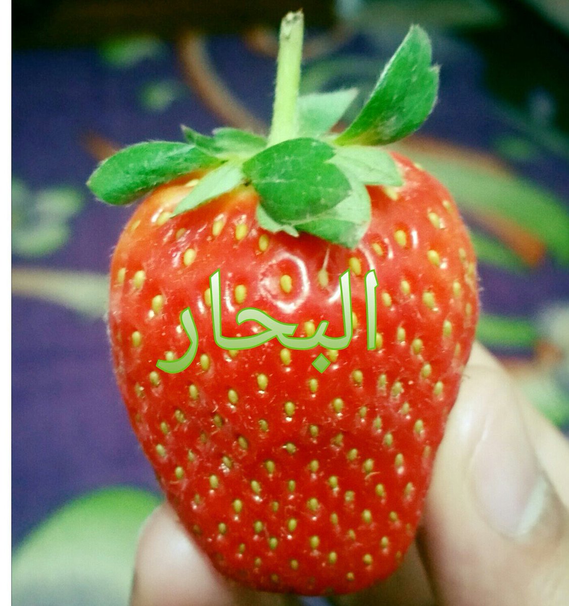 صباح الخير