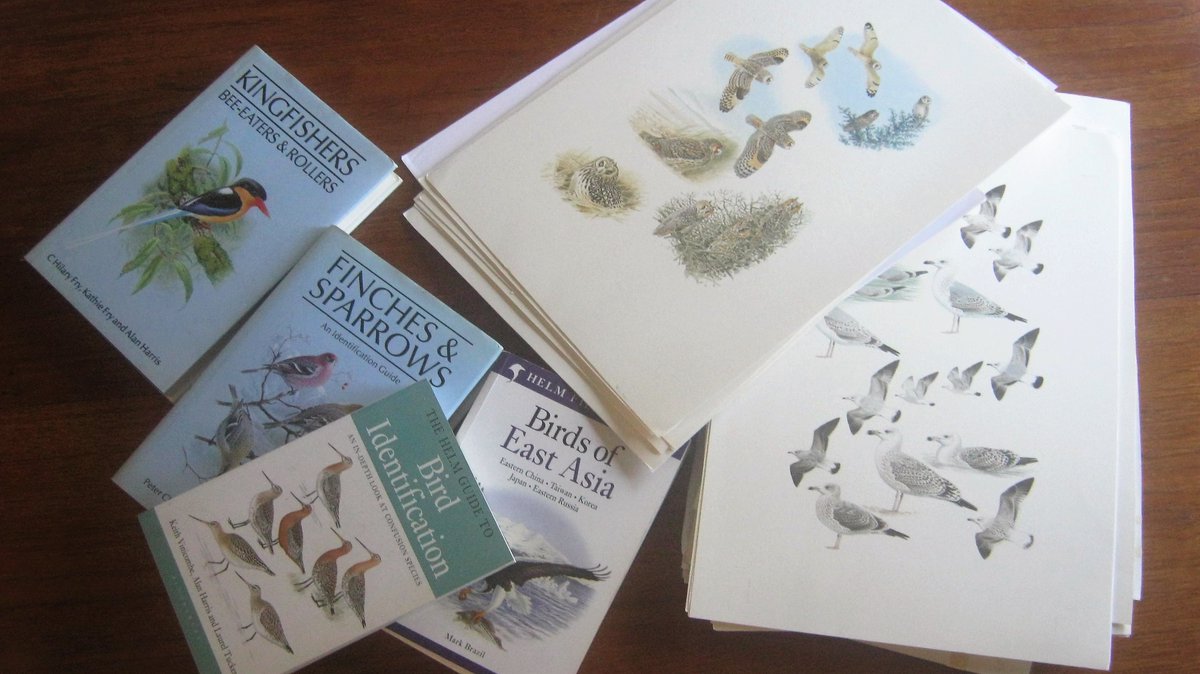 AH_birdartist's tweet photo. Finally got the list of book plates up on the website!
https://t.co/nTjd3J5V9Q
#BirdBooks
#HelmFieldGuides
#BWP
#FinchesAndSparrows https://t.co/ChcZeoLBeL