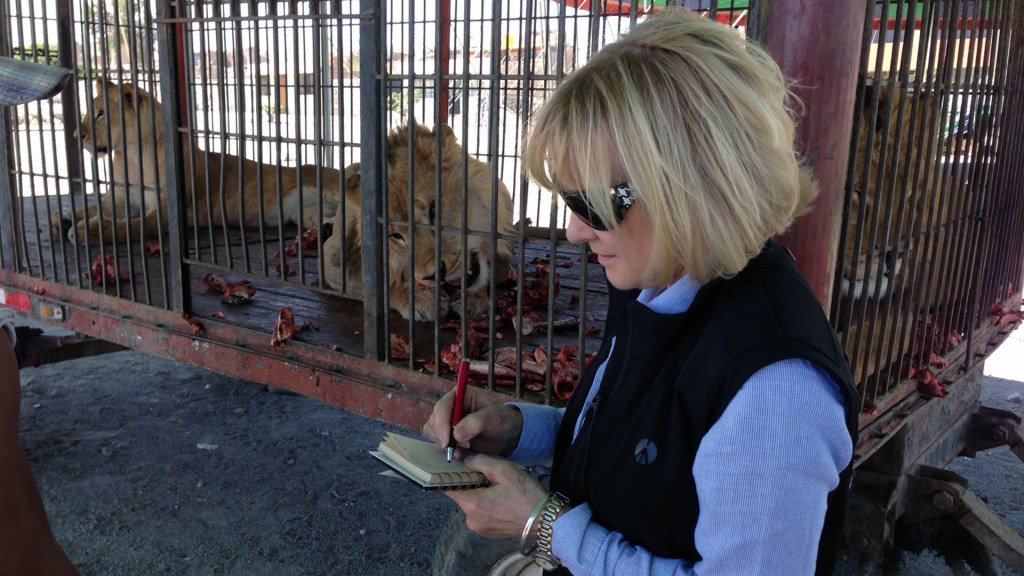 jancreamer's tweet photo. WATCH ADI SAVING ANIMALS ON CBS 60 MINUTES https://t.co/W1mSAQWVoj https://t.co/1BYgy6imn0