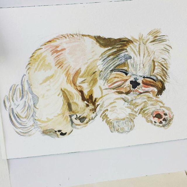 Nuevos proyectos, cuadros personalizados de mascotas! #cute #puppy #ilustration