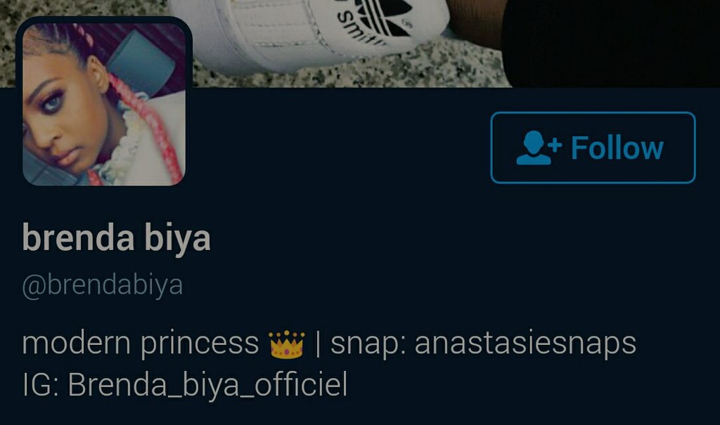 __yes___or___no's tweet photo. .@brendabiya sur ton profil twitter on peut lire "modern princess" . Sous-entends tu que ton papa @PaulBiya serait "modern king" ? #YesorNo https://t.co/5OjGandKeC