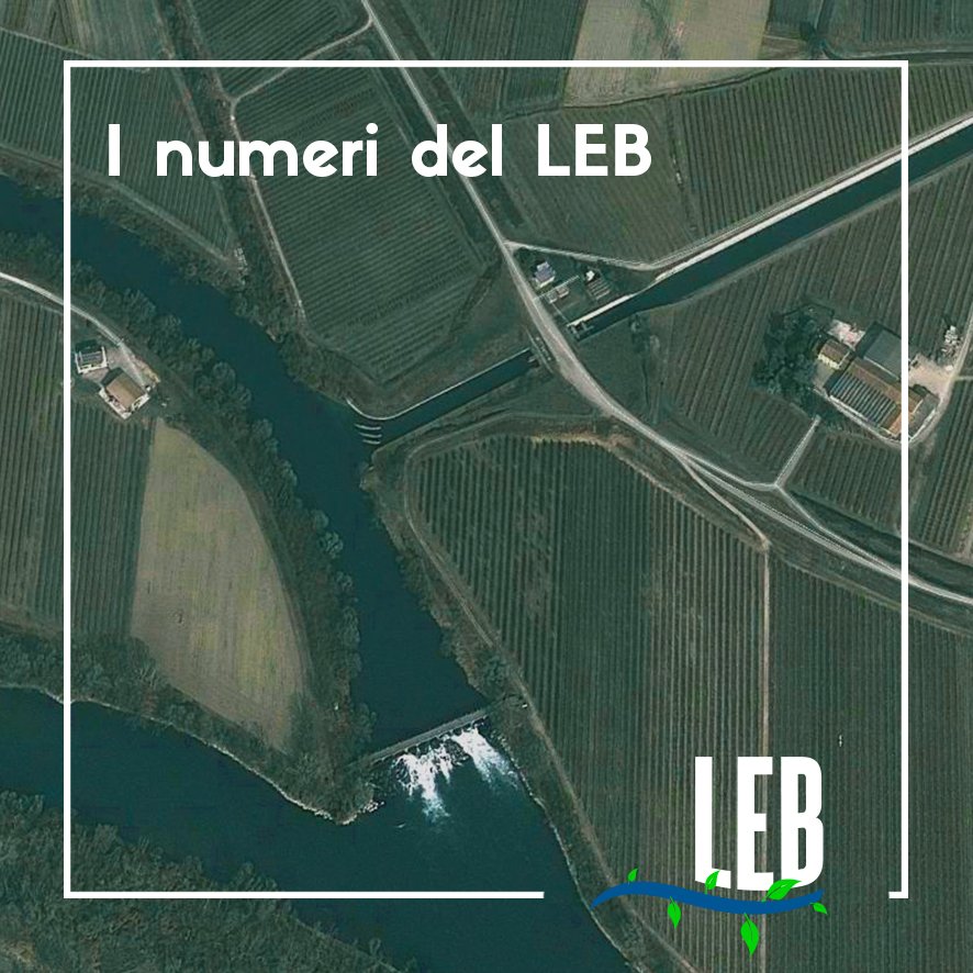 48, 103, 4,3…no non stiamo dando i numeri! Questi sono i dati del LEB
Scoprili su: consorzioleb.it