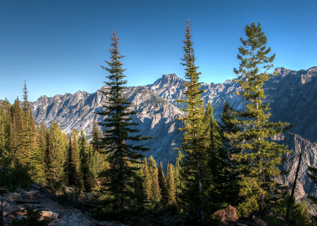 MooreCharitable's tweet photo. Here are seven (more) reason to #givethanks for National Forests #MooreForests #NationalForests #ForestMonth https://t.co/z1DdW9FNXD https://t.co/S2mbuXnAJb