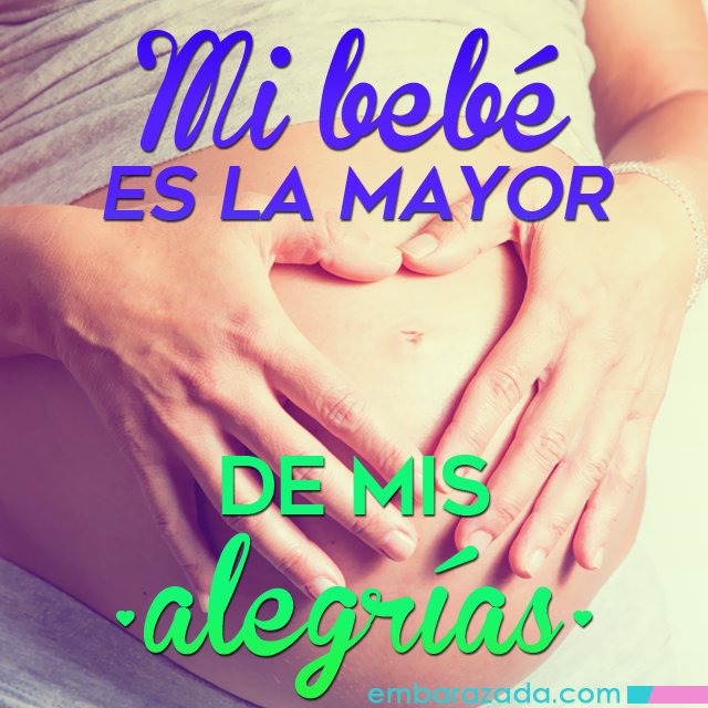 Embarazada.com tweet media