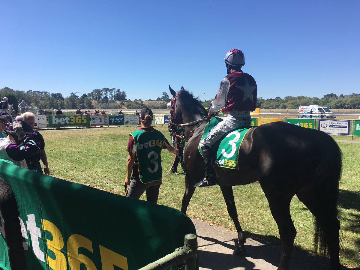 McCallCorey's tweet photo. Here is the Big Fella again. 
Pull The Ripcord. No longer a Maiden. #TeamPTR #Plug #Ollie @ssuttie77 @Azbo365 https://t.co/JrDM2FNWm0