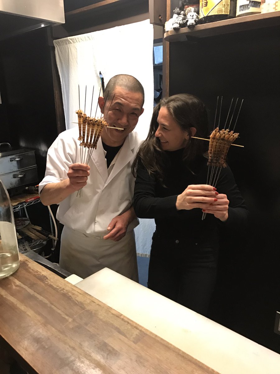 Come for a holiday. Get put to work!