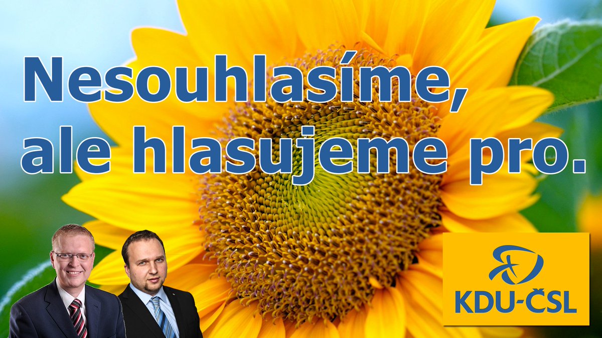 broochcz tweet picture
