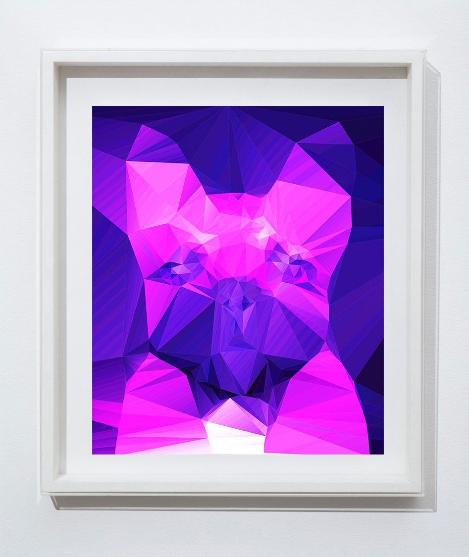 OscarJetson's tweet photo. French bulldog Vivid Pink Purple Abstract art print, Cubist style… https://t.co/WRXRZFGlvG #dogoftheday #CubistStyle https://t.co/mYHYEeLGR7