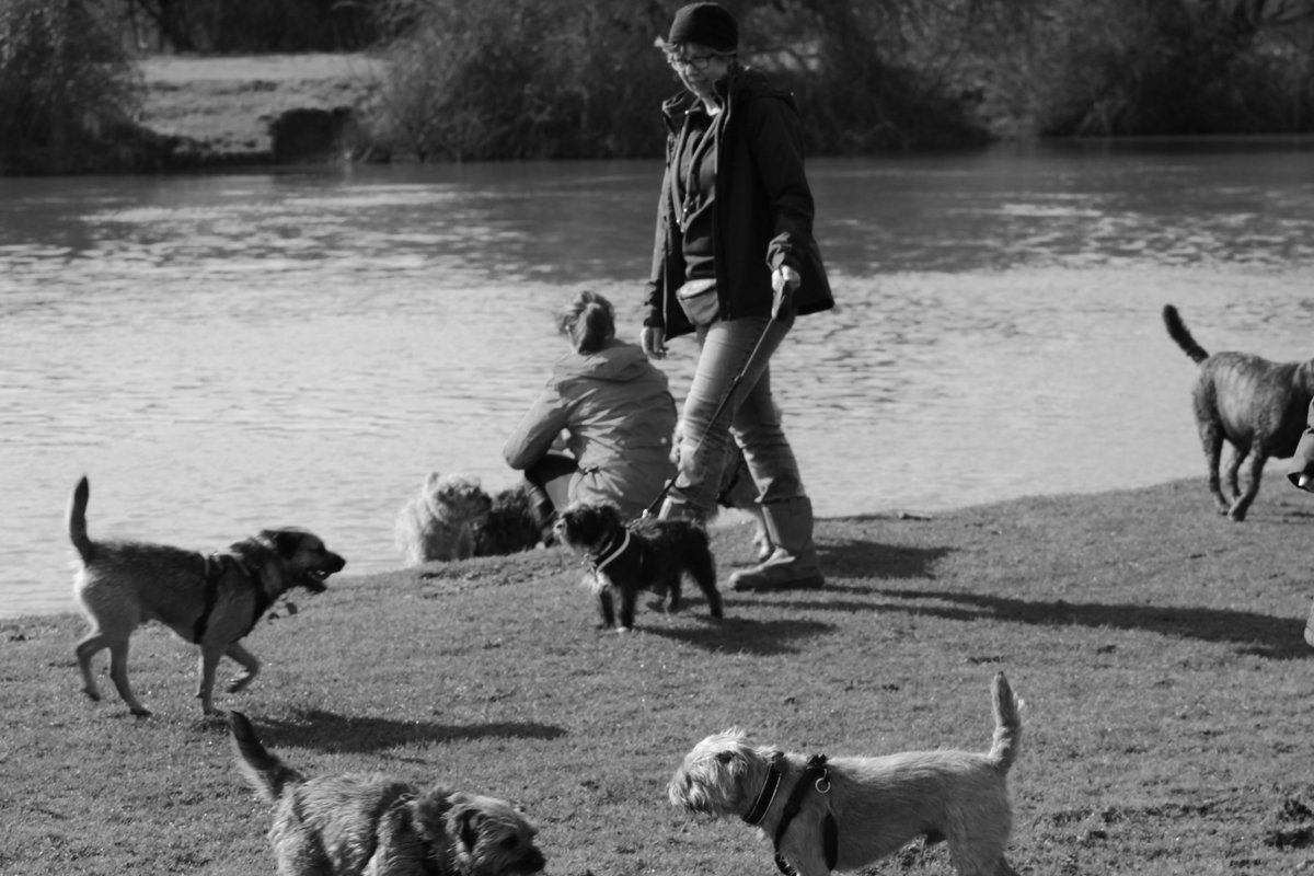 ma351_robbins's tweet photo. Lovely meet yesterday in Oxford ,look forward to the next one,dates to follow ❤🐾❤ https://t.co/TDIGt0MU3h