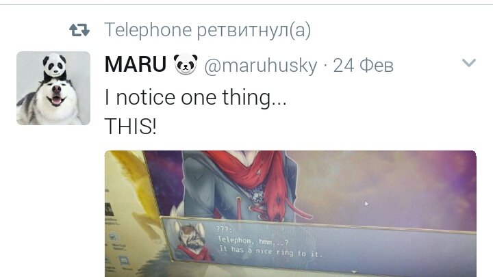 MARU 🐼 tweet media