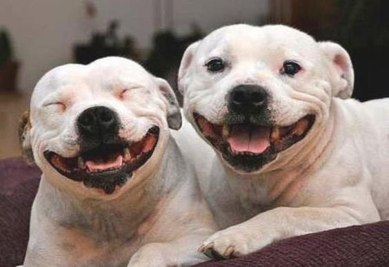 JulieDeighton1's tweet photo. @GrahamBlackburn Happy Monday Graham it's a beautiful morning in Yorkshire hope your well my friend #KeepSmiling ♥♥♥ https://t.co/HKd0kD0Qqs