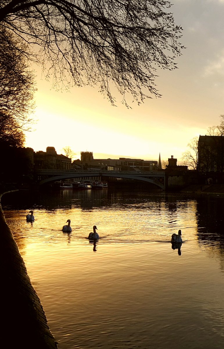 No21York's tweet photo. Nice sight 1st thing in the morning.
#AmazingYork #RiverOuse #LendleBridge #MuseumGardens #York #Swans #SpringHasSprung #VisitYork https://t.co/jtGlyZq9OL