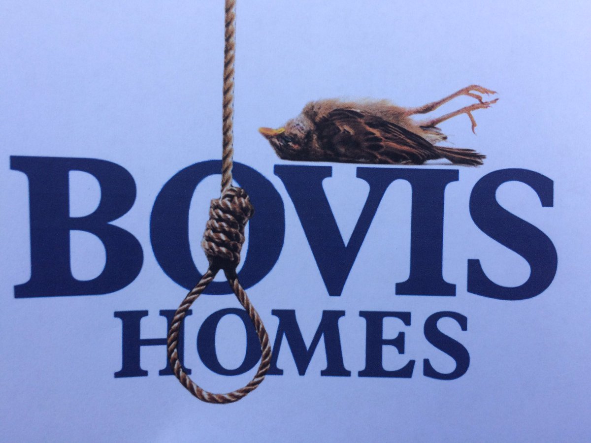 bellebumbles's tweet image. Today we are out trying to save our hedgerow from Bovis for the house sparrows #hedgegate #hedgepledge