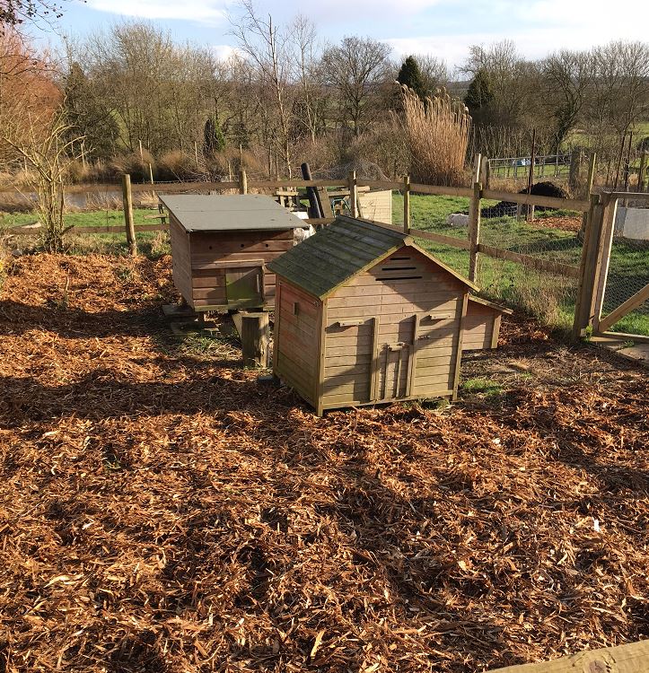 #Spring is with us! Busy weekend getting ready. @montysdognigel <a href="/TheMontyDon/">Monty Don</a>