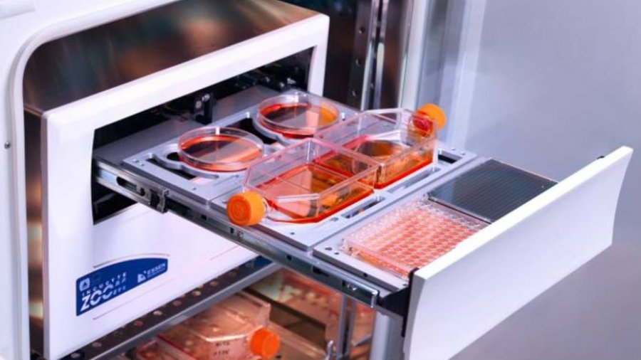 transkriptde's tweet photo. @SartoriusGlobal baut #Bioanalytik-Kompetenzzentrum mit Erwerb von @EssenBioScience auf #Echtzeit #Zellbildgebung
https://t.co/Fa54qVQIu6 https://t.co/gSOKDIbB4k