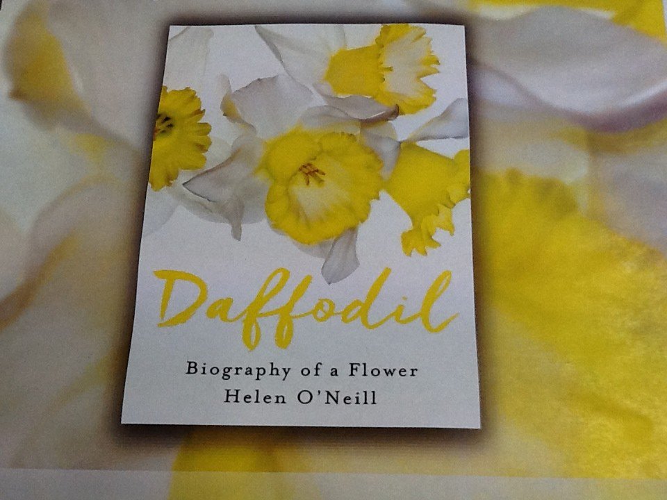 RowanGC's tweet image. Daffodil book signing by @helenoneill @RowanGC Sat 11 March as mentioned by @racheldethame in @TheSTHome