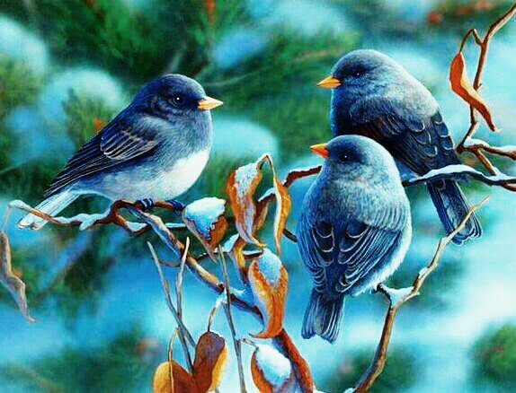 #goodmorning 🌍🌎🌏
It's amazing!...be able to communicate with the other side of the World in an instant!
#Twitter 💕