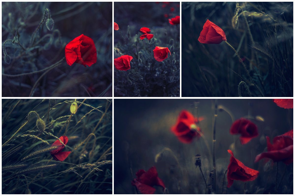 denkomind (@denitza) on Twitter photo 