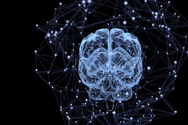 Forecast_PF's tweet photo. Tao Yidi's proposal is an interdisciplinary examination of human brain. https://t.co/dT3mVL2mRP #forecastplatform #forecastforum https://t.co/pO3N7TSzVt